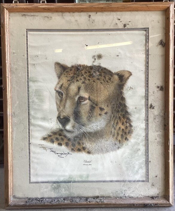 A framed, dirty print depicts a detailed portrait of a cheetah's head looking left.