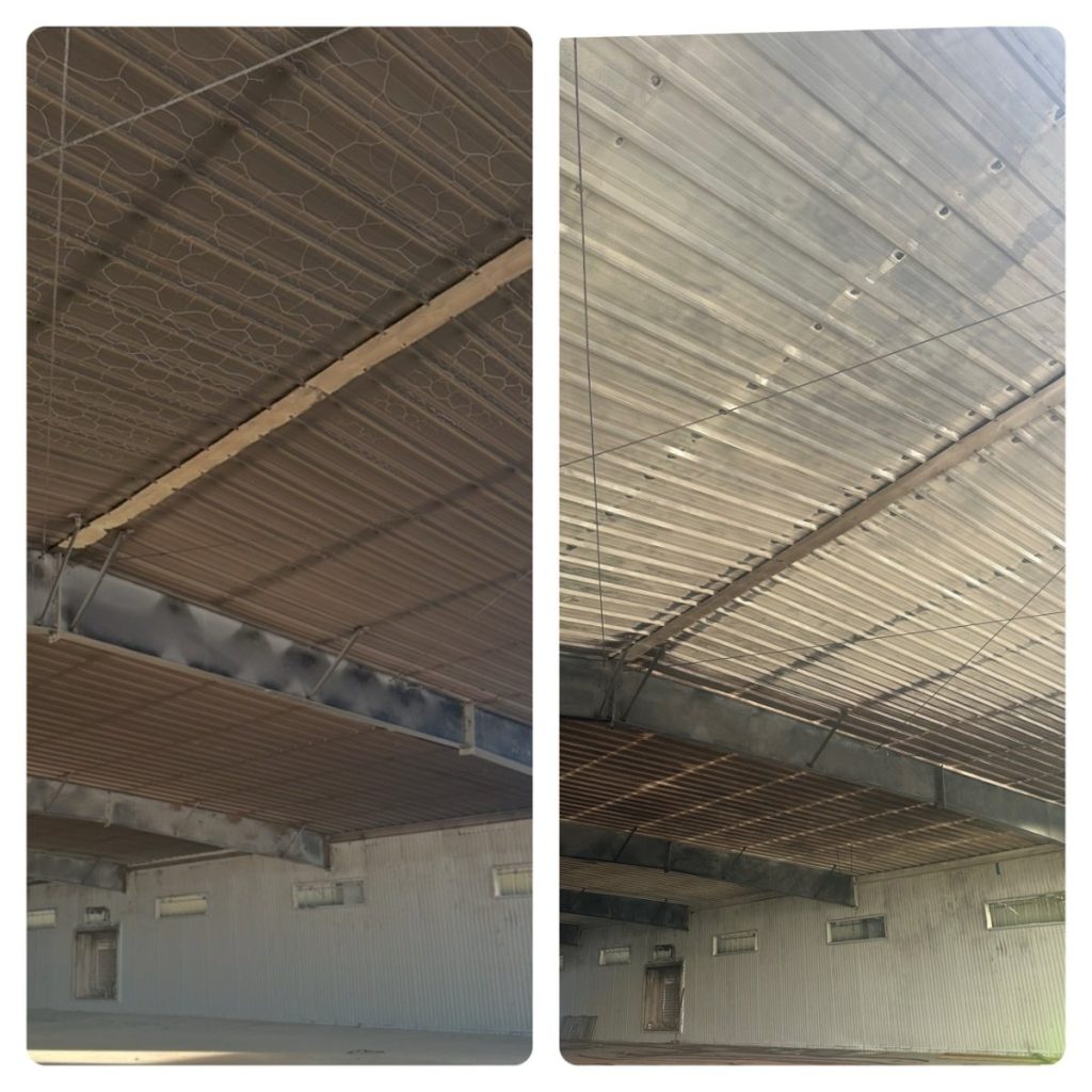 Food Processing Plant - Large-Scale Project Photos