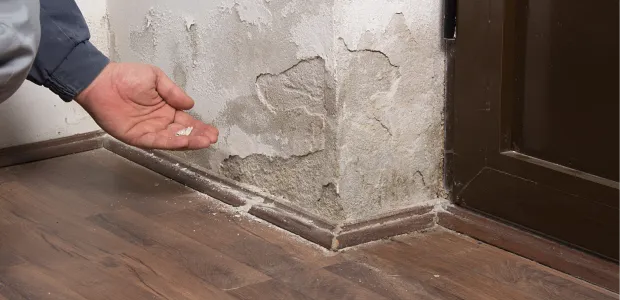 Peeling wall damage from water intrusion in a building interior