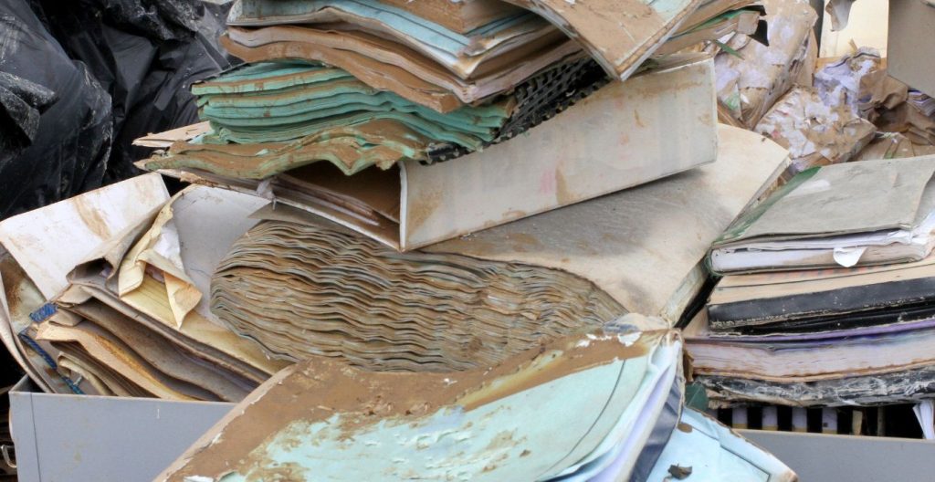 How to Remediate Mold on Paper