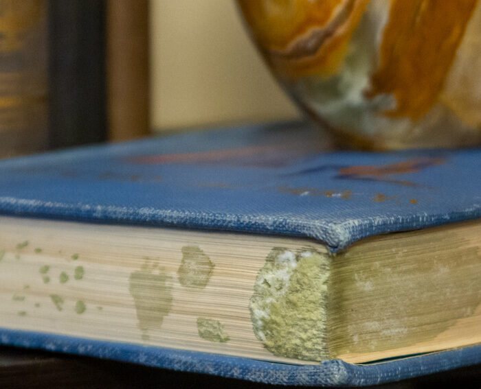 How to Remove Mold From Books Prism Specialties