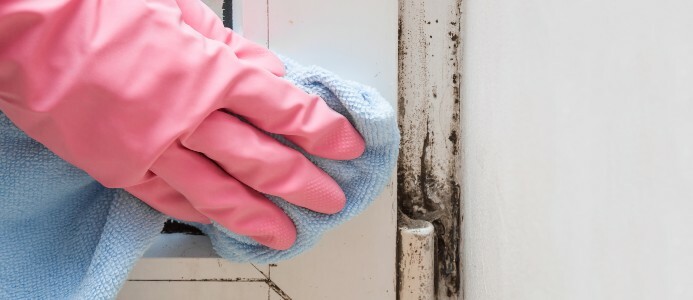 A gloved hand removes mold from a door hinge