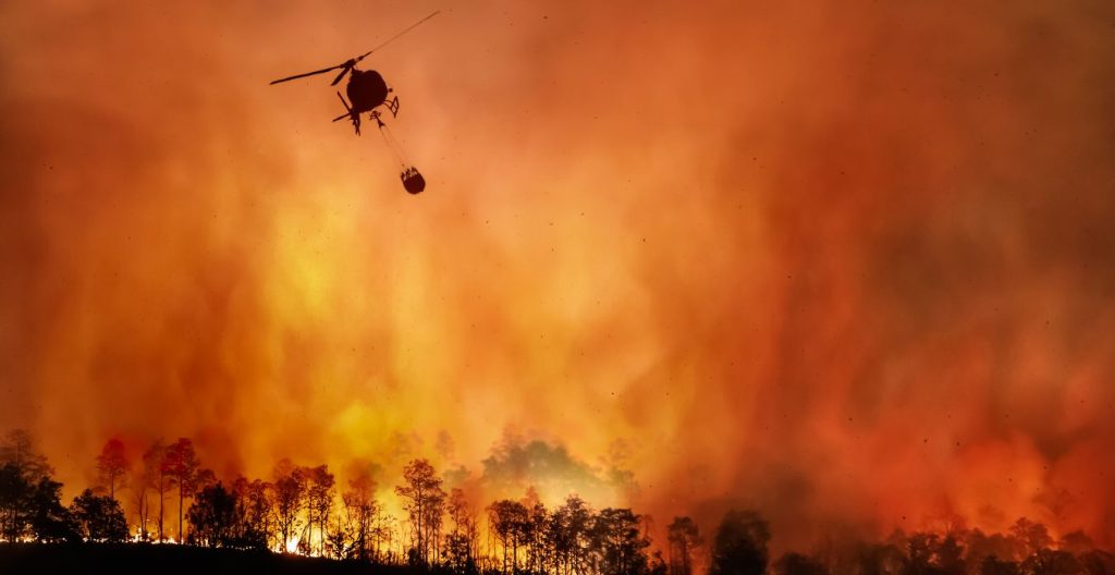 Fire Risk: Why Everyone Is Talking About Wildfire Insurance